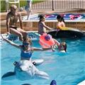 outdoor pool 1993 ew